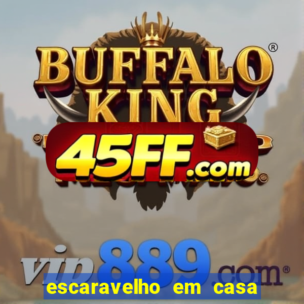 escaravelho em casa significado espiritual